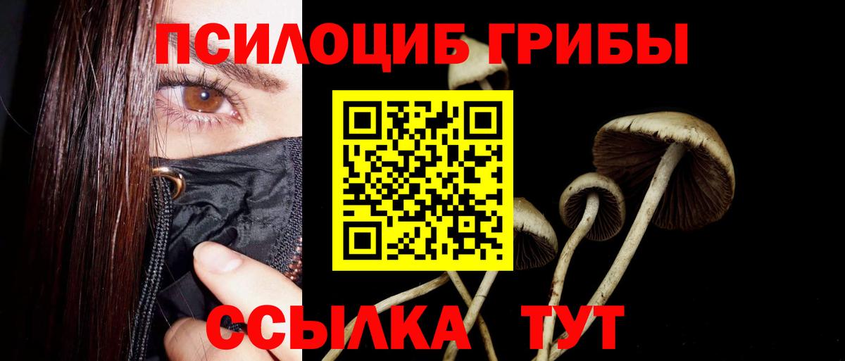 Петрозаводск  Псилоцибиновые грибы Psilocybe  Вход с VPN  Галлюциногенные грибы мухоморы 